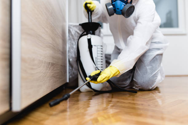 Best Exterminator Services  in Chisholm, MN