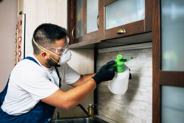 Best Pest Control for Businesses  in Chisholm, MN