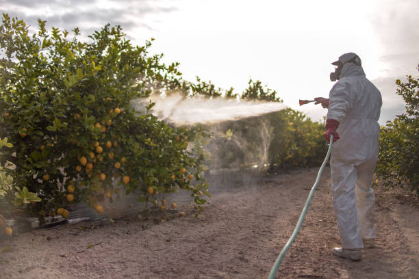 Best Emergency Pest Control  in Chisholm, MN