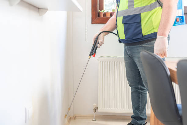Best Termite Control Services  in Chisholm, MN