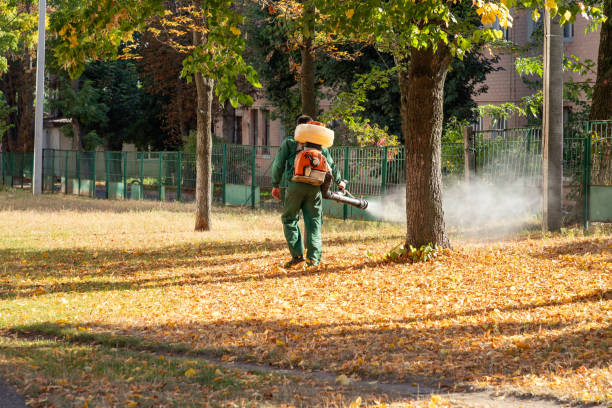 Best Pest Control Near Me  in Chisholm, MN