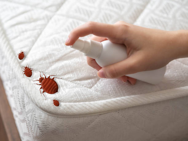 Best Pest Inspection Near Me  in Chisholm, MN