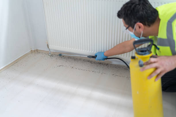 Best Local Pest Control Services  in Chisholm, MN