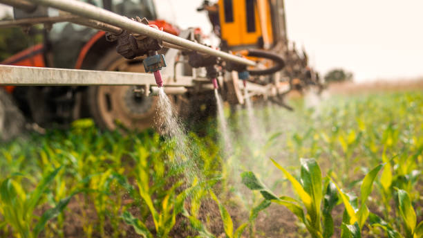 Reliable Chisholm, MN Pest Control Solutions